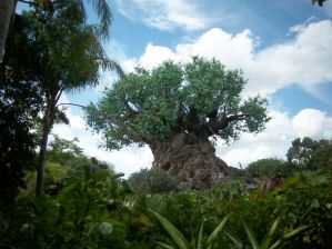 The Tree of Life at Walt Disney World